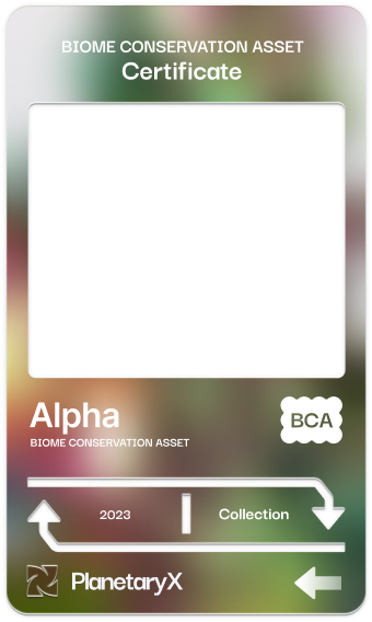 bio object ticket alpha